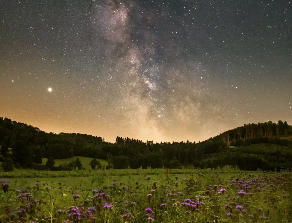 Contact The Blossom Tree - Wellbeing and Personal Growth Center